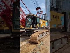 Multifunctional 60 Ton Crawler Crane Mini Crawler Crane tự động với màu đỏ và vàng